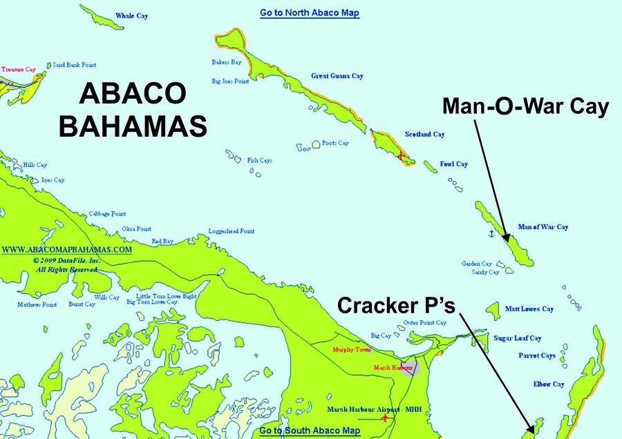 Click to See Next Image